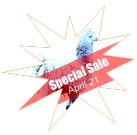 special sale at Ontario livestock exchange