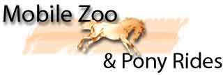 Mobile Zoo and Pony Rides by Tiger Paw