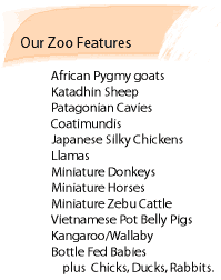 Zoo Features